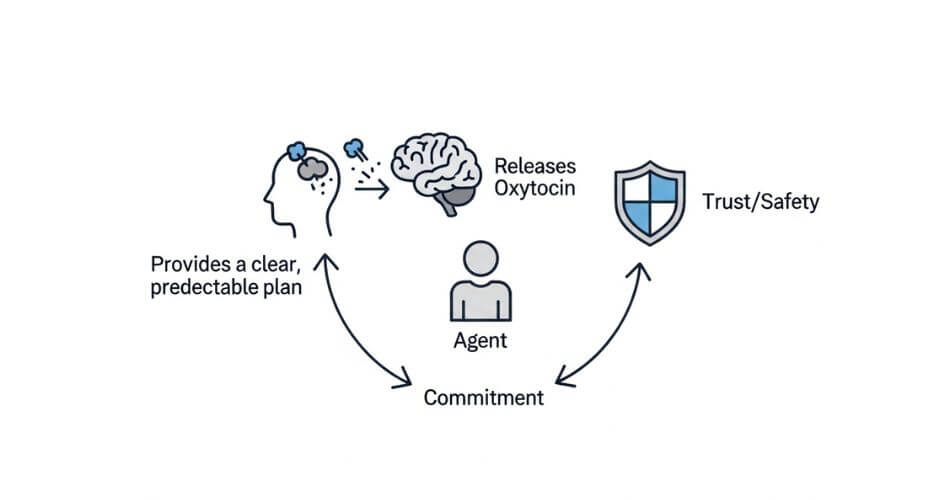 Psychology of Buying a House. A diagram of the Oxytocin Loop - showing how an agents predictable plan creates safety releases oxytocin and builds trust and commitment.