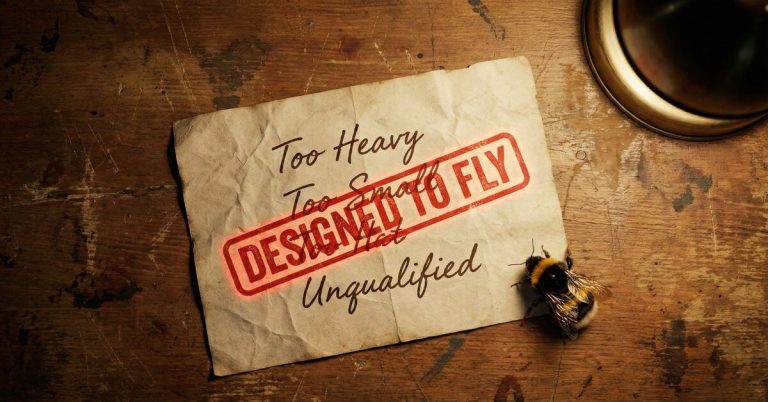 Why God Chooses The Unqualified. A document listing flaws stamped with Designed to Fly next to a bumblebee.